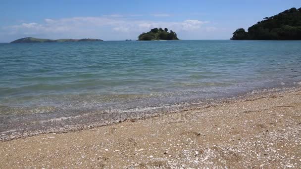 Blick Vom Ufer Des Coromandel Neuseeland — Stockvideo