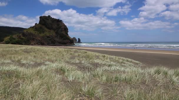 Aslan Rock Piha Beach Yeni Zelanda — Stok video