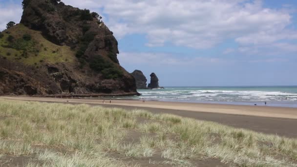 Aslan Rock Piha Beach Yeni Zelanda — Stok video