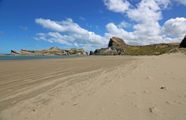 Castle Rock beach - Castlepoint, Yeni Zelanda