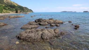 Volkanik kayalar - Firth Thames, Yeni Zelanda