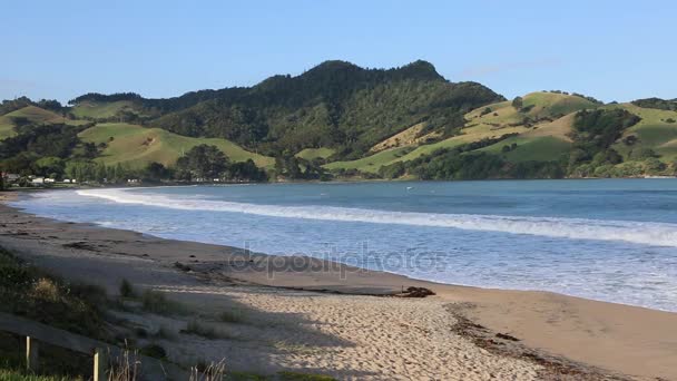 クアオトゥヌ ビーチ マーキュリー 新しいニュージーランド — ストック動画