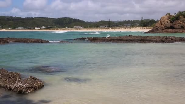 Bahía Matapouri Beach Nueva Zelanda — Vídeo de stock