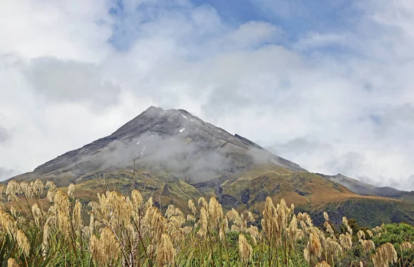 Monte Egmont Canna Taranaki Monte Egmont Nuova Zelanda — Foto Stock