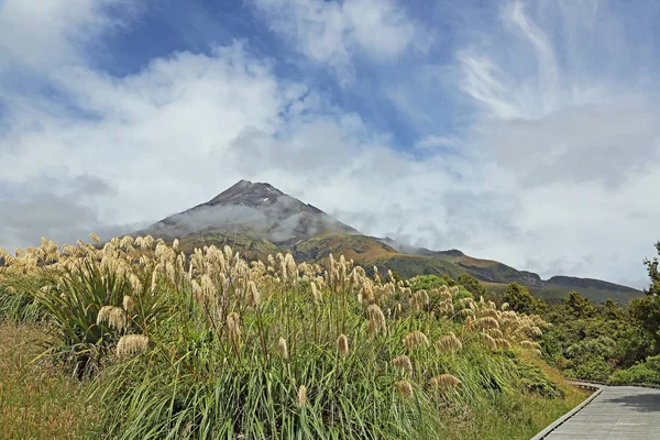 Egmont Yeni Zelanda — Stok fotoğraf