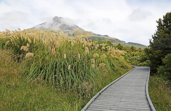 タラナキ地方の道 エグモント国立公園 ニュージーランド — ストック写真