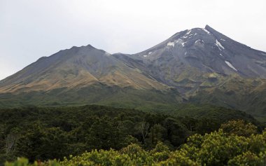 İki kraterler Mt Egmont - Taranaki'deki / Mt Egmont Np, Yeni Zelanda
