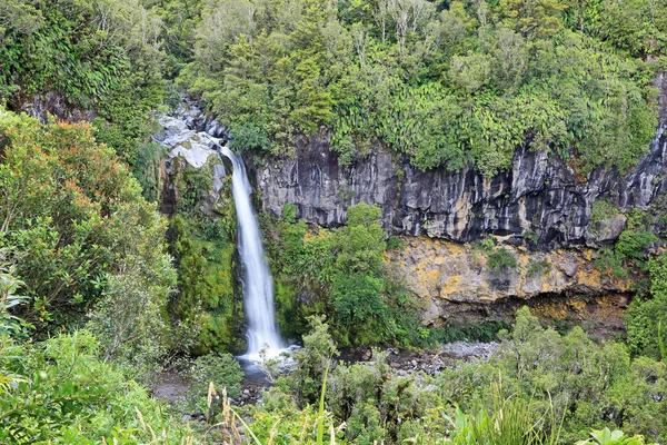 Dawson Falls Taranaki Egmont Nya Zeeland — Stockfoto