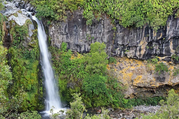 Dawson Falls Taranaki Egmont Nueva Zelanda — Foto de Stock
