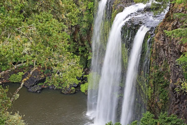 Sidovy Whangarei Falls Nya Zeeland — Stockfoto