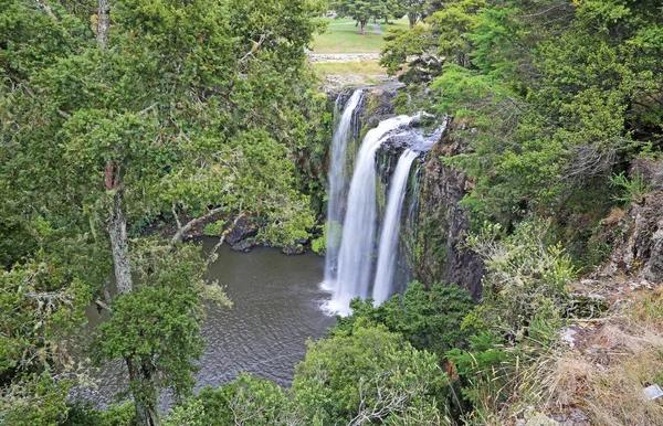 Whangarei Falls Mellan Träd Nya Zeeland — Stockfoto