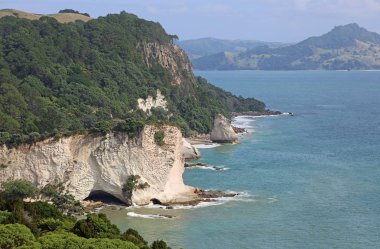 Katedral koyu Sahili - east coast Coromandel Yarımadası, Yeni Zelanda