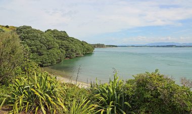 Shelly Bay - east coast Coromandel Yarımadası, Yeni Zelanda
