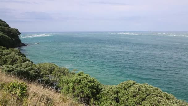 丰富的海湾 新西兰 — 图库视频影像