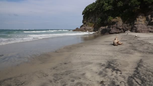 East Cliff Waihi Beach Yeni Zelanda — Stok video