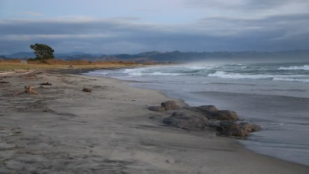 Kvällen Waihi Beach Nya Zeeland — Stockvideo