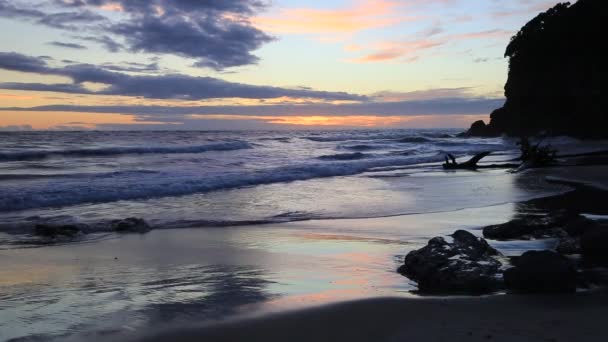 ワイヒ ビーチ ニュージーランドの夜明け — ストック動画