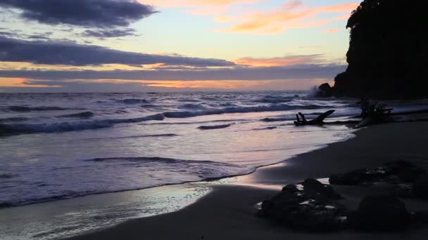 Prima Dell Alba Sulla Spiaggia Waihi Nuova Zelanda — Video Stock