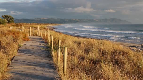 Boardwalk Ранковому Сонці Нова Зеландія — стокове відео