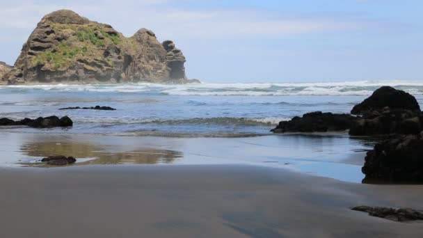 Surfare Piha Beach Nya Zeeland — Stockvideo