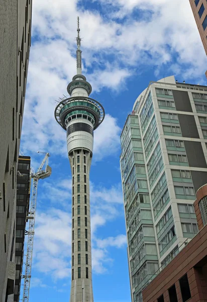 Walking Sky Tower Auckland Nya Zeeland — Stockfoto