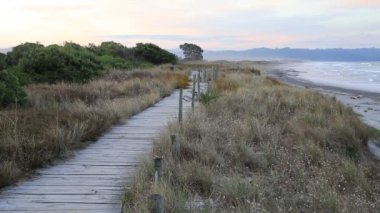 Tahta Waihi Beach - Bowentown, Yeni Zelanda