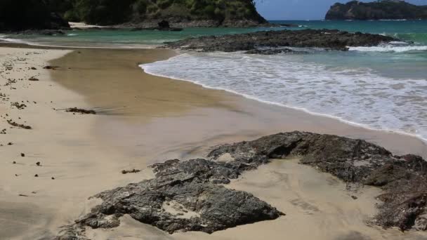 Вулканический Камень Пляже Матапури Новая Зеландия — стоковое видео