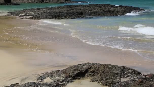 Roca Lava Playa Matapouri Beach Nueva Zelanda — Vídeos de Stock