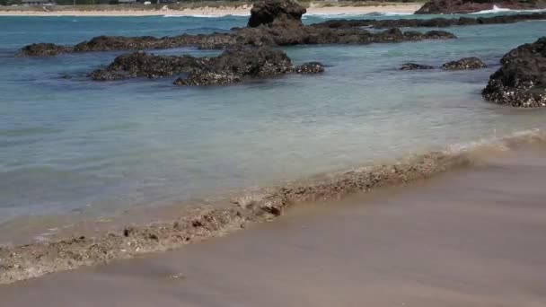 Playa Matapouri Nueva Zelanda — Vídeo de stock