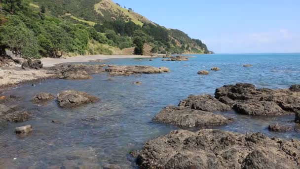 Vulkanküste Von Coromandel Neuseeland — Stockvideo