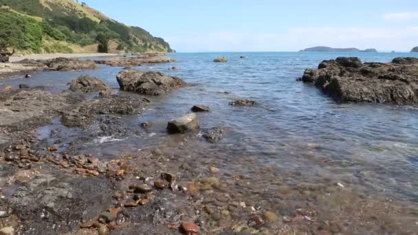 Firth Thames Coromandel Nya Zeeland — Stockvideo