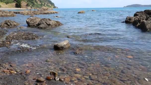 Čistá Voda Temži Firth Coromandel Nový Zéland — Stock video