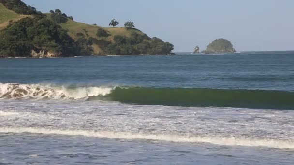 Olas Simpsons Beach Nueva Zelanda — Vídeos de Stock