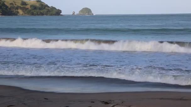 Сімпсони Пляж Нова Зеландія — стокове відео