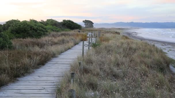 Passerella Sulla Spiaggia Waihi Bowentown Nuova Zelanda — Video Stock