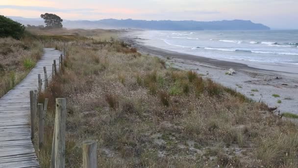 Boardwalk Пляж Waihi Bowentown Нова Зеландія — стокове відео