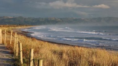 Waihi plaj sabah güneş - Bowentown, Yeni Zelanda