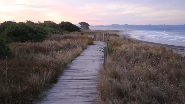 Boardwalk Waihi Біч Bowentown Нова Зеландія — стокове відео