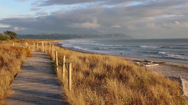Boardwalk Вранці Пляжі Waihi Bowentown Нова Зеландія — стокове відео