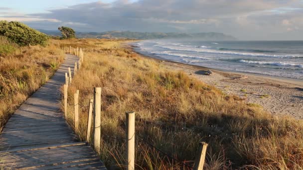 Sentiero Sulla Spiaggia Waihi Beach Bowentown Nuova Zelanda — Video Stock