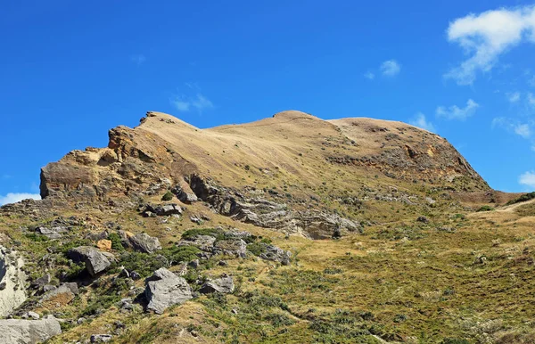 Burgfelsen Gipfel Castlepoint Neuseeland — Stockfoto