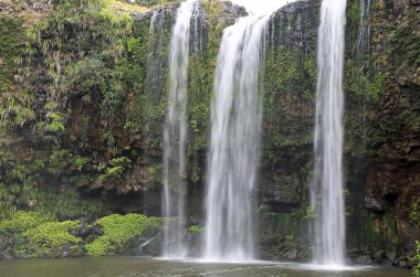 Uçurum ve Falls Whangarei, Yeni Zelanda