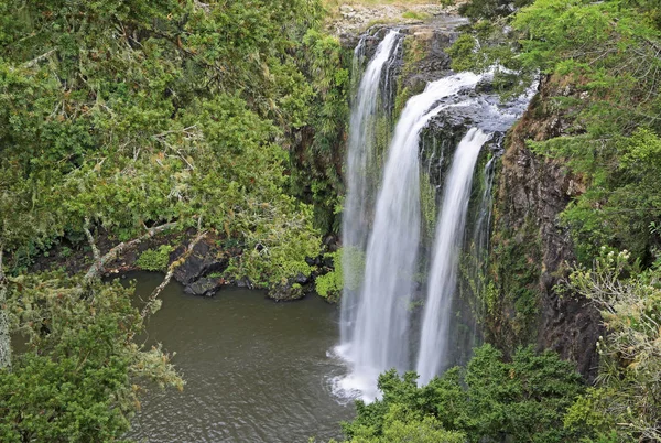 Sidovy Whangarei Falls Nya Zeeland — Stockfoto
