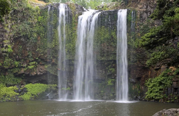 Whangarei Falls Nueva Zelanda — Foto de Stock
