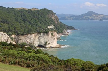 Katedral Cove cliffs - Yeni Zelanda