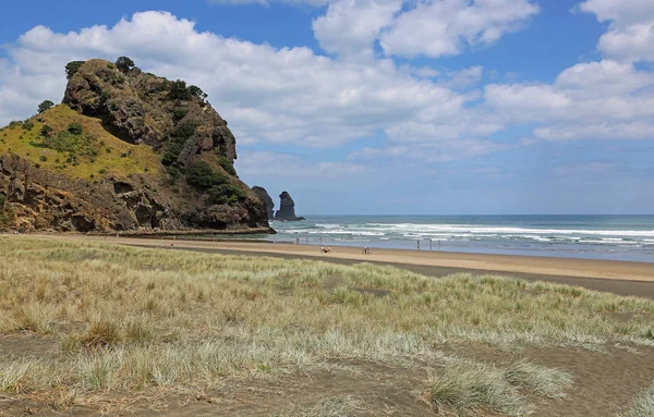 Löwenfelsen Piha Strand Neuseeland — Stockfoto