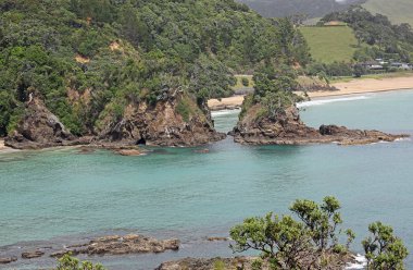 Manzaraya Sandy Bay - Yeni Zelanda