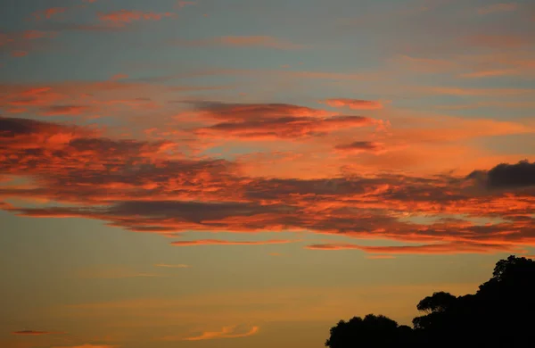 Solnedgång Sky Nya Zeeland — Stockfoto