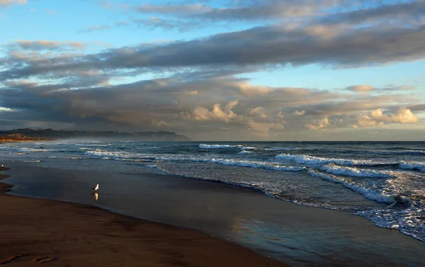 Waihi Beach Morning Bowentown New Zealand — Stock Photo, Image