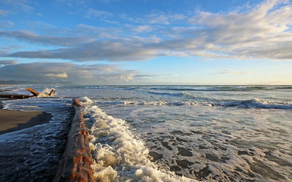 Ola Tronco Waihi Beach Bowentown Nueva Zelanda — Foto de Stock